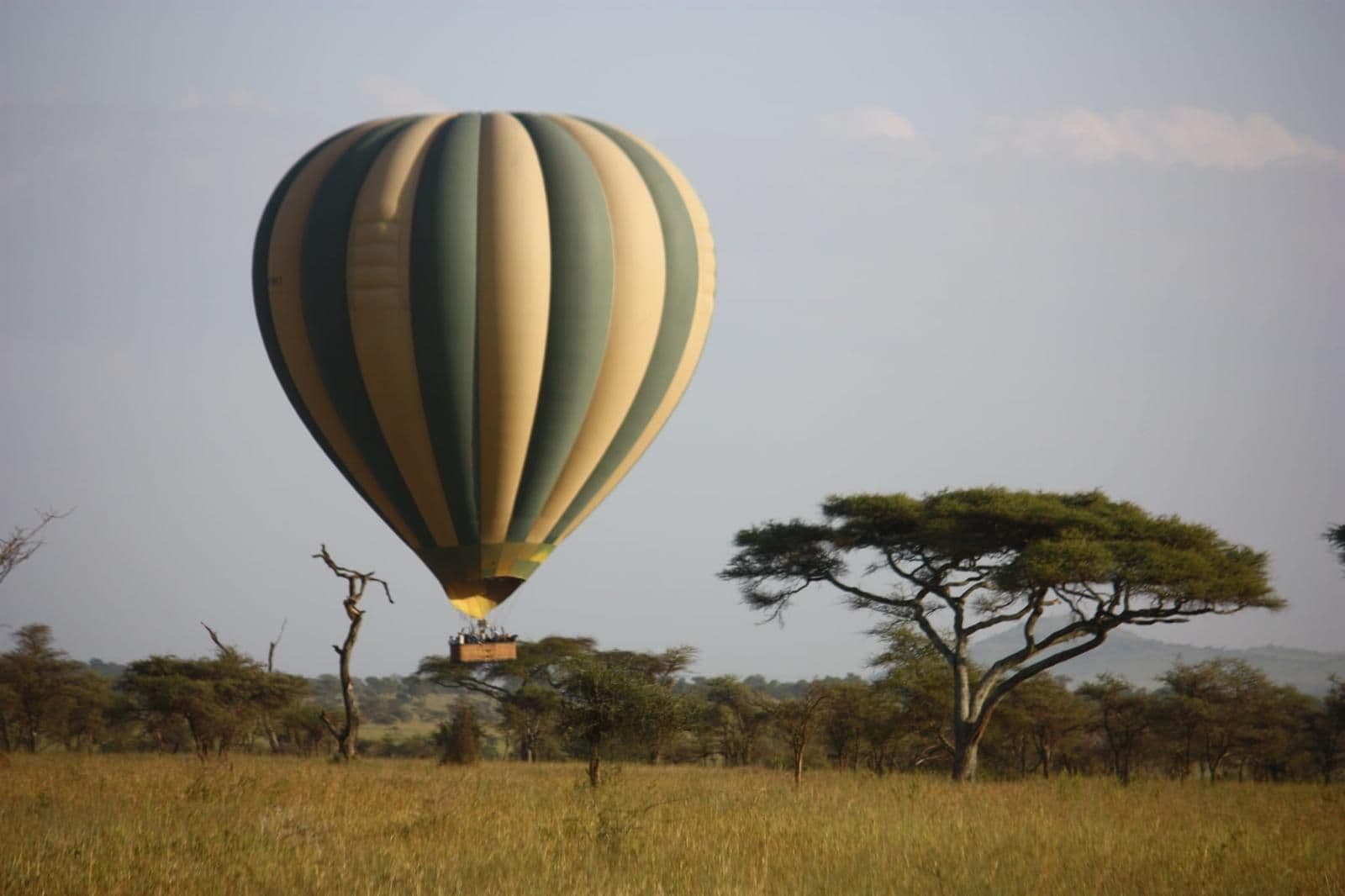 Tanzania: ¿Y si tu mejor recuerdo no fuera un león, sino un encuentro?