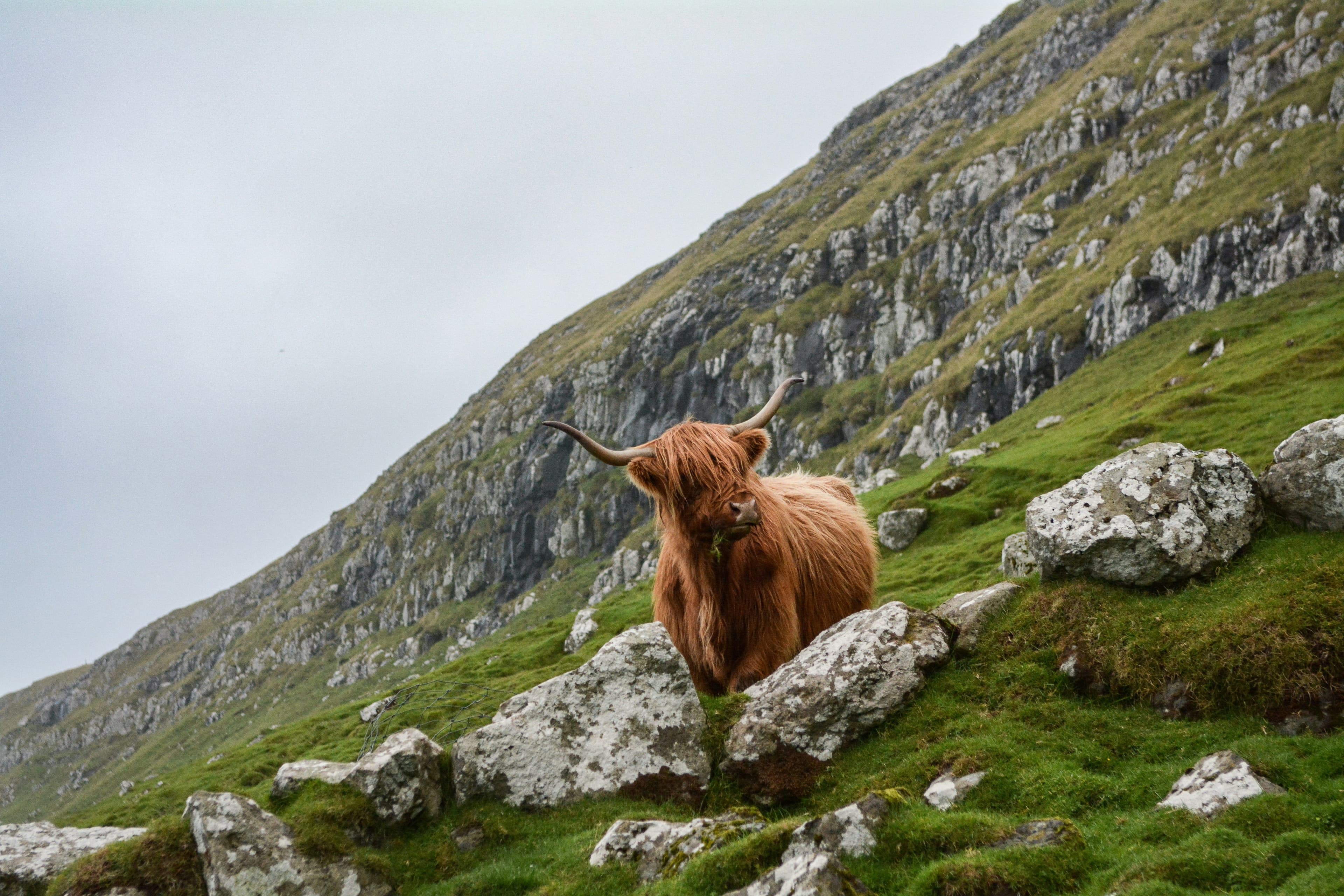 Entdecken Schottland