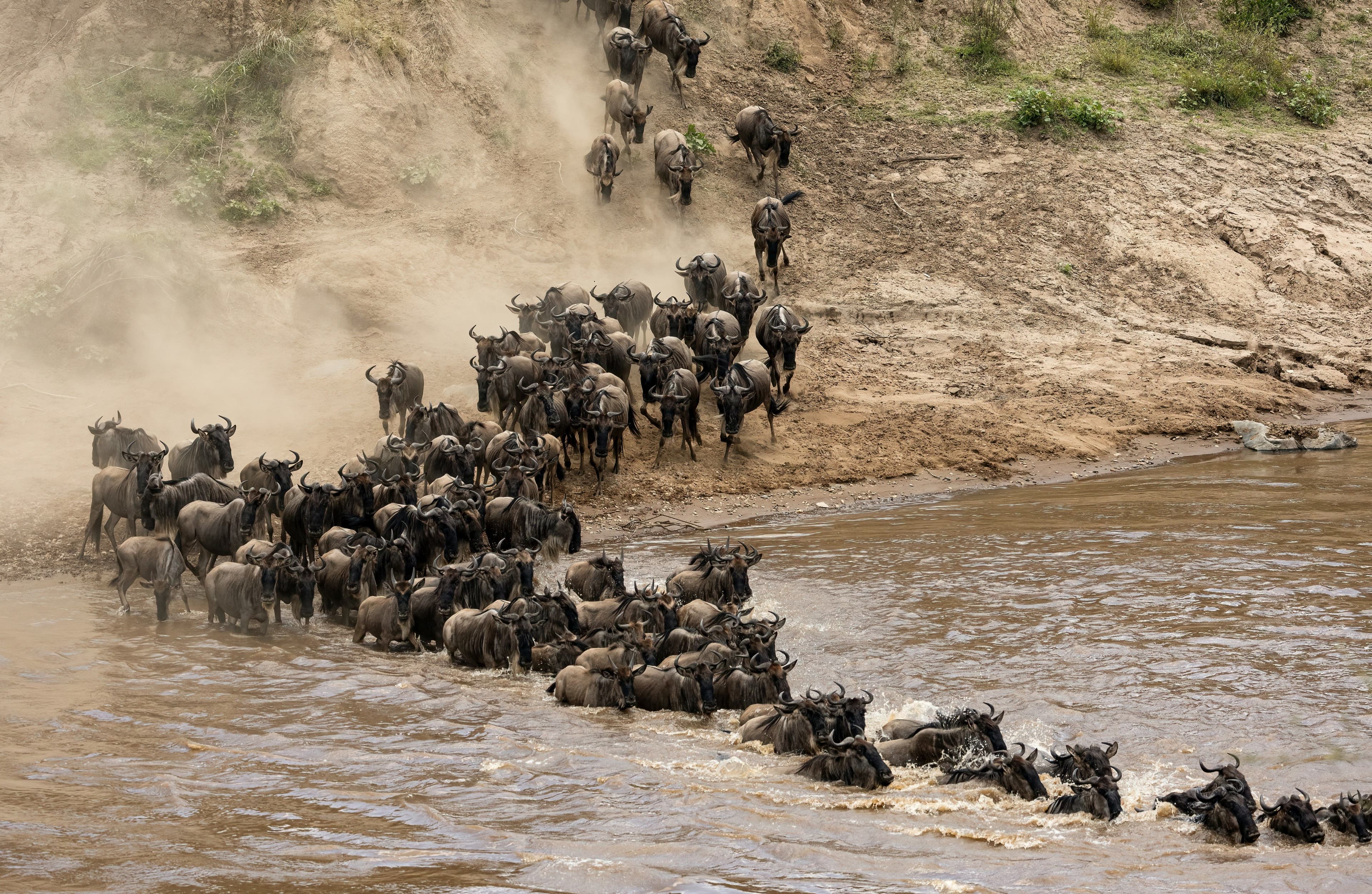 Kenia: el safari con el que siempre has soñado… y mucho más