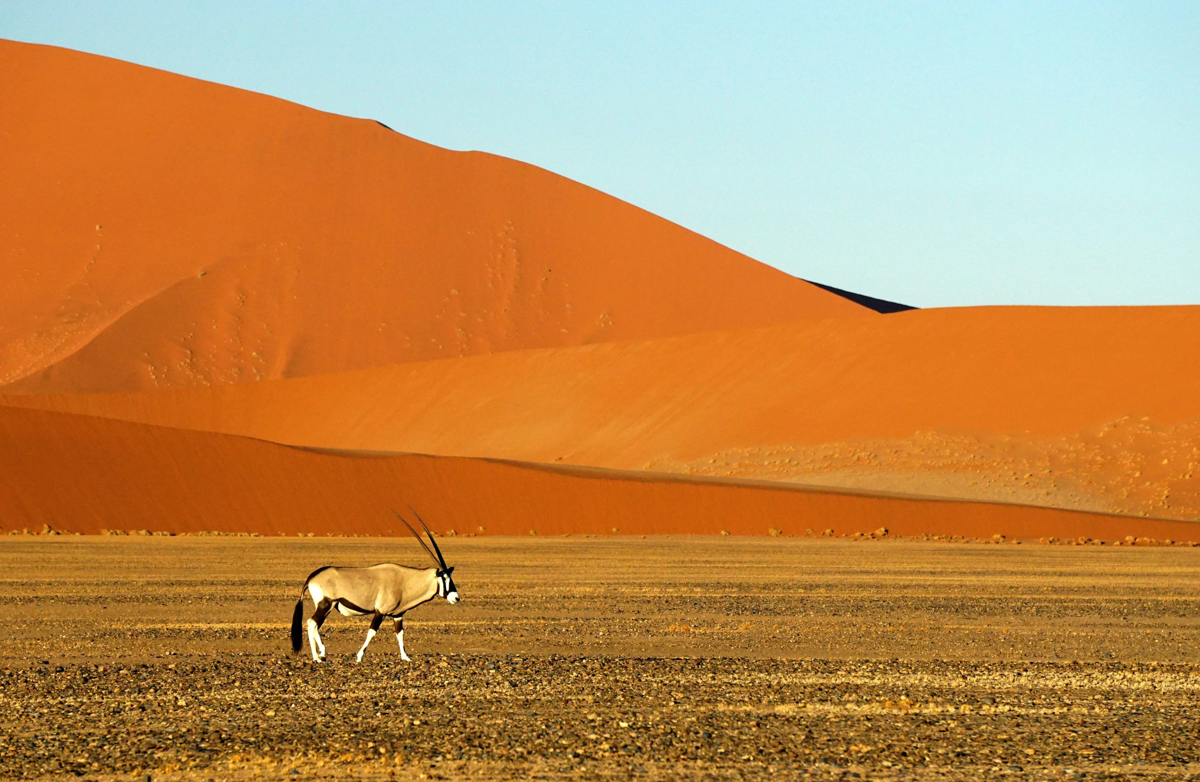 Discover Namibia